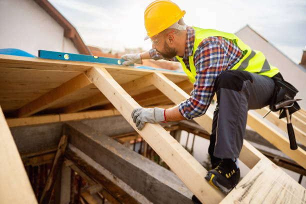 Best Roof Gutter Cleaning  in St George, SC