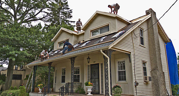 Best Metal Roofing Contractor  in St George, SC